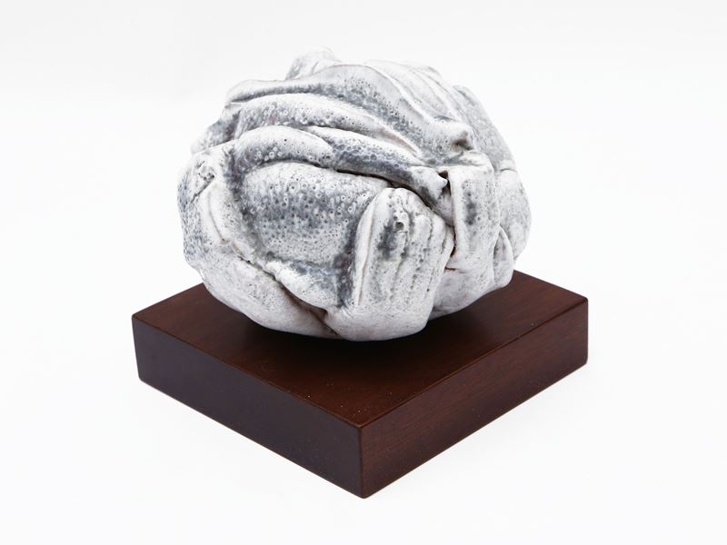 Carlo Zauli - Sfera Fitomorfa