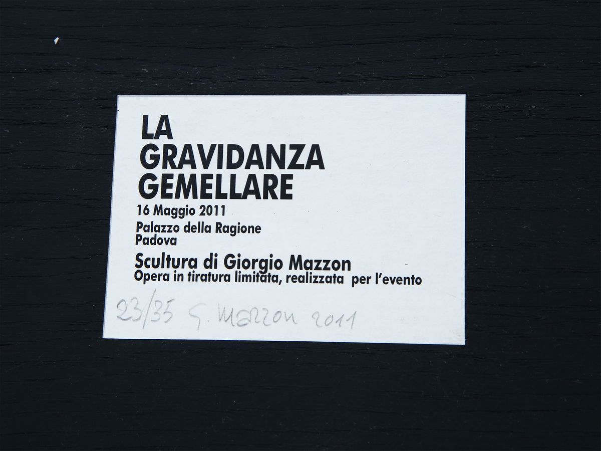 Giorgio Mazzon - La Grividaza Gemellare 2011