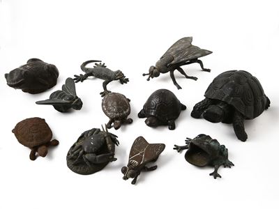 Collezione di Curiosità Animalier