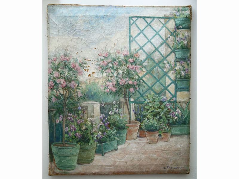 La Pianta e Scorcio di Terrazza