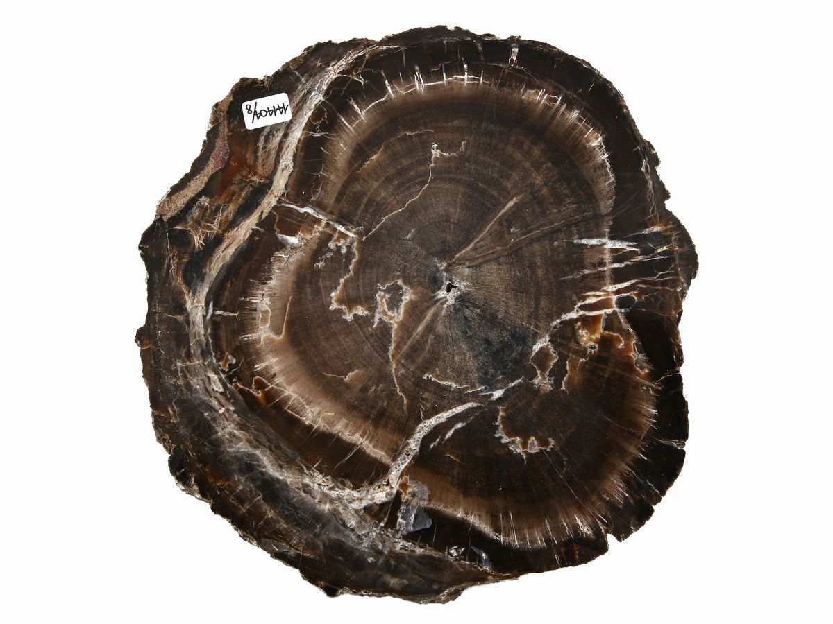 Lotto di Minerali