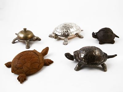 Collezione di Tartarughe