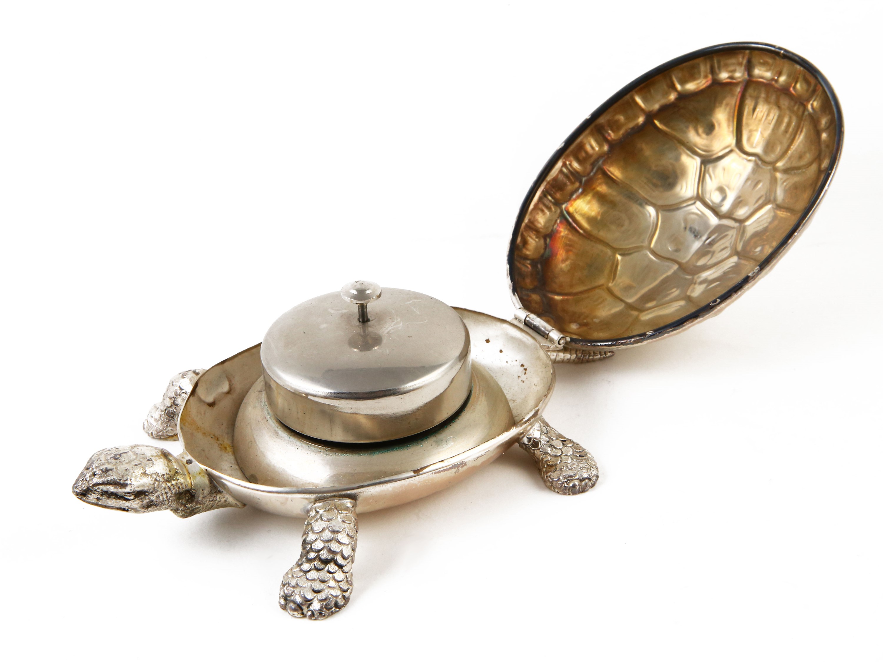 Collezione di Tartarughe