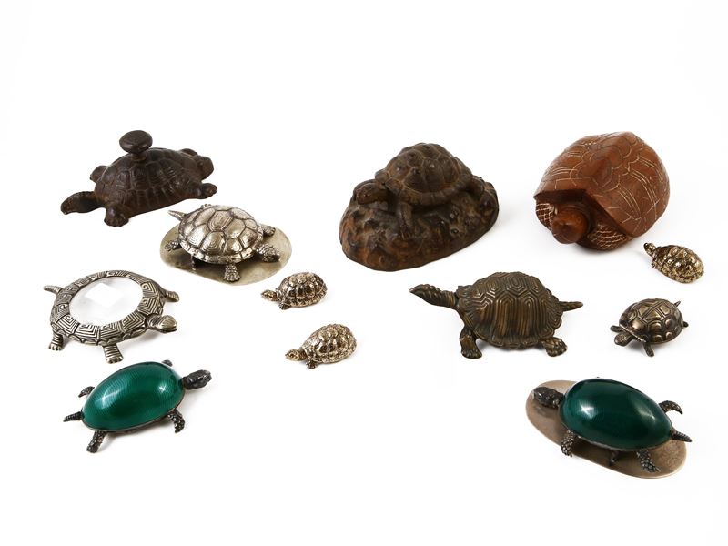 Collezione di Tartarughe