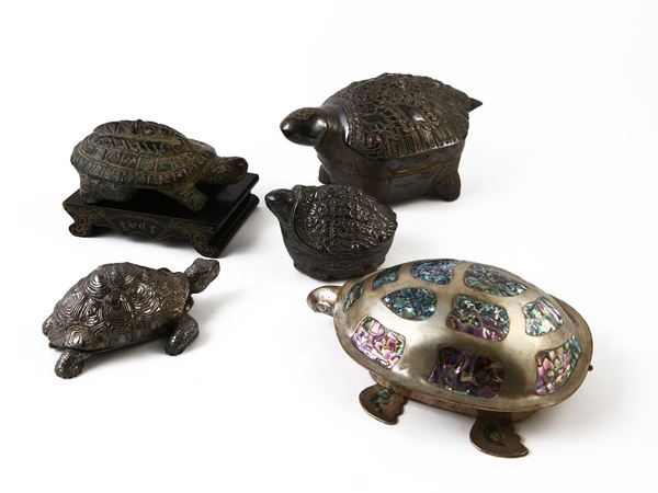 Collezione di tartarughe