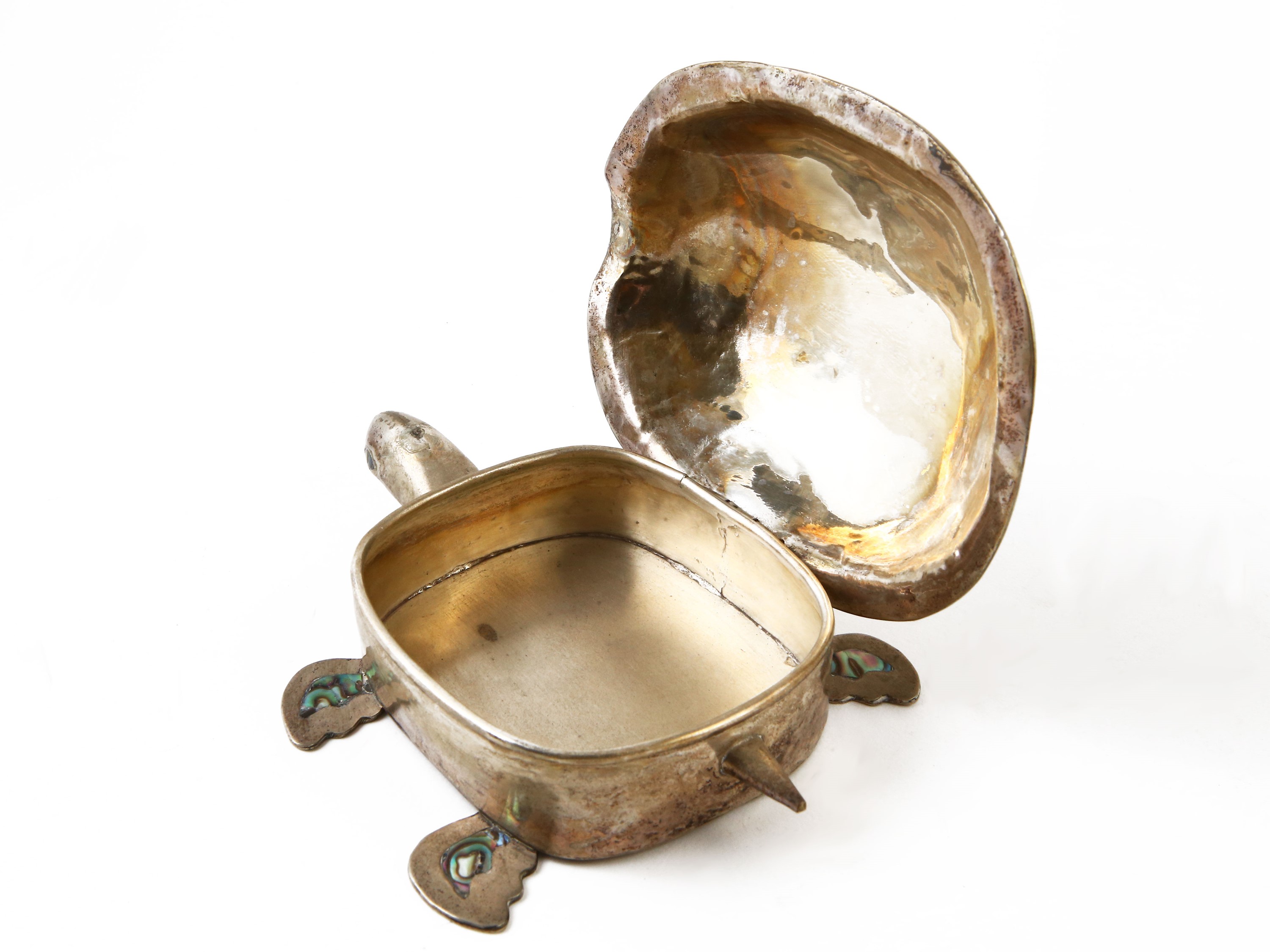 Collezione di Tartarughe