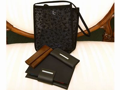 Lotto di Accessori, Coccinelle