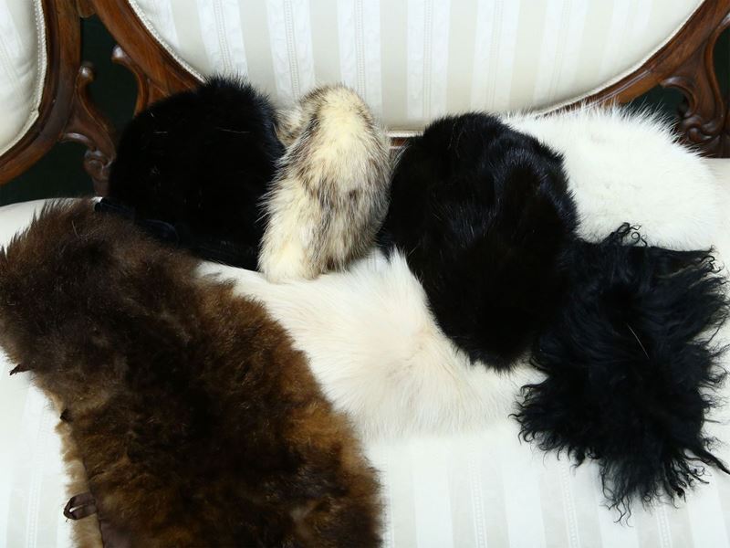Lotto di Cappelli e Colli in Pelliccia