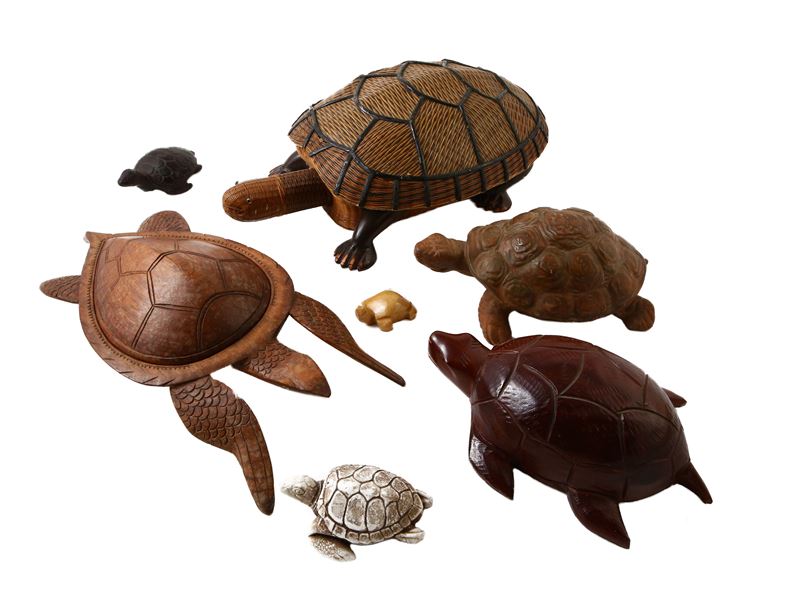 Collezione di Tartarughe in Diversi Materiali