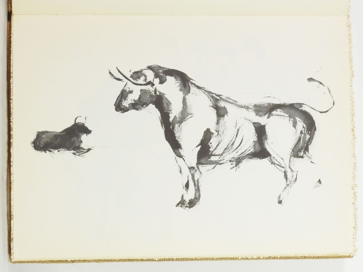 Ruy Bastos - Toros
