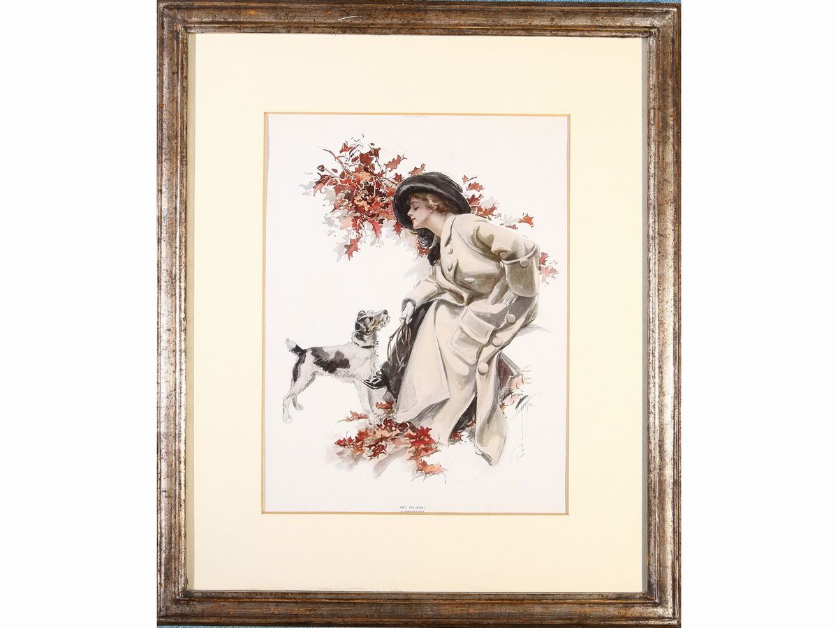 American Beauties, da Herrison Fisher