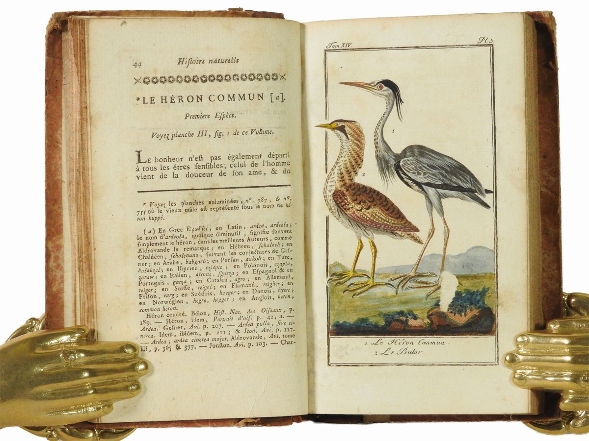Georges Louis Buffon Leclerc, Comte De - Histoire Naturelle Générale Et Particulière