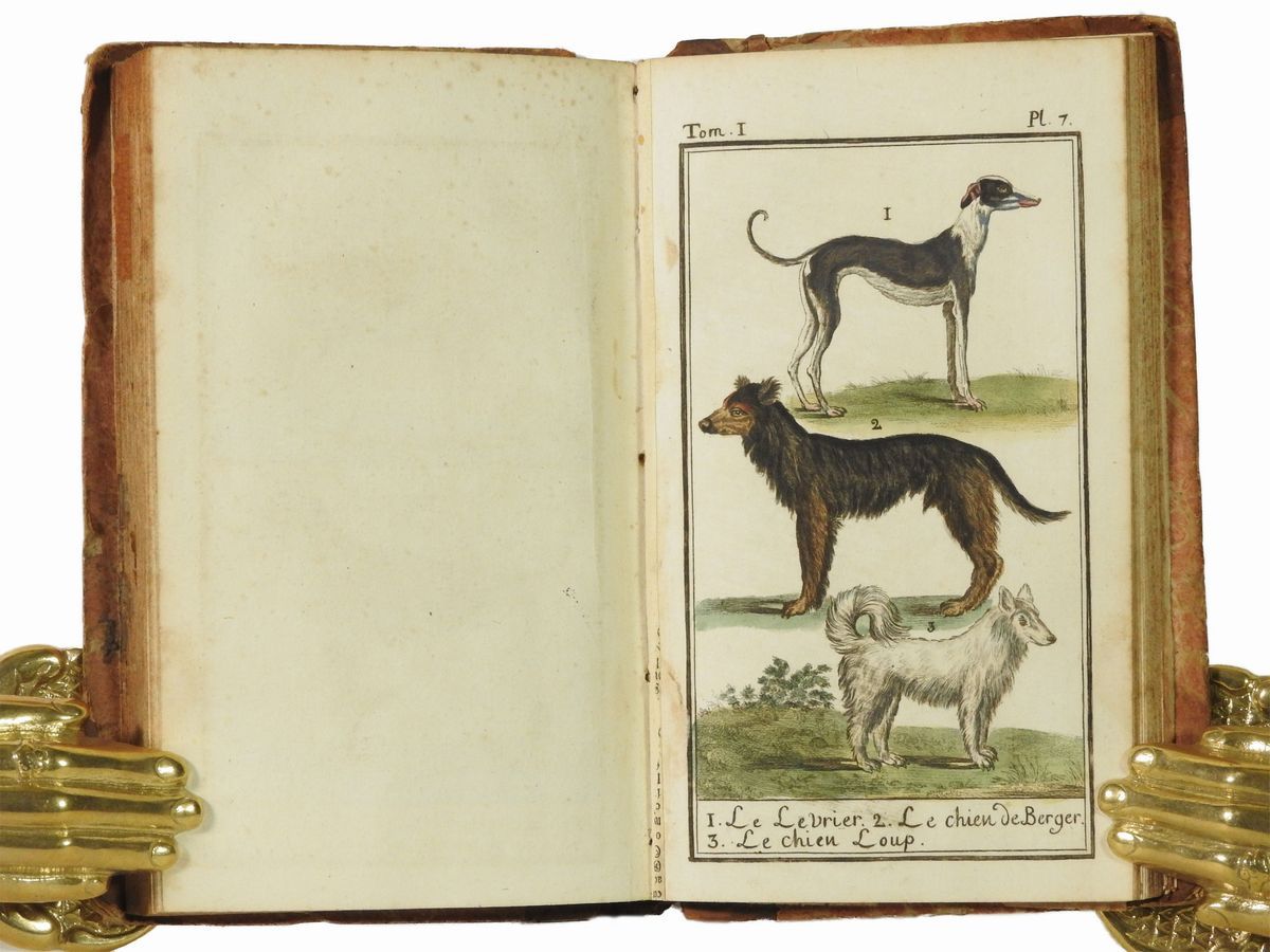 Georges Louis Buffon Leclerc, Comte De - Histoire Naturelle Générale Et Particulière