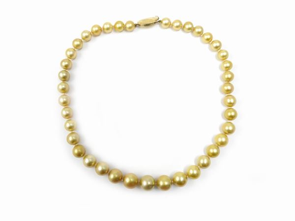 Filo di perle coltivate gold a scalare con fermezza in oro giallo 375/1000
