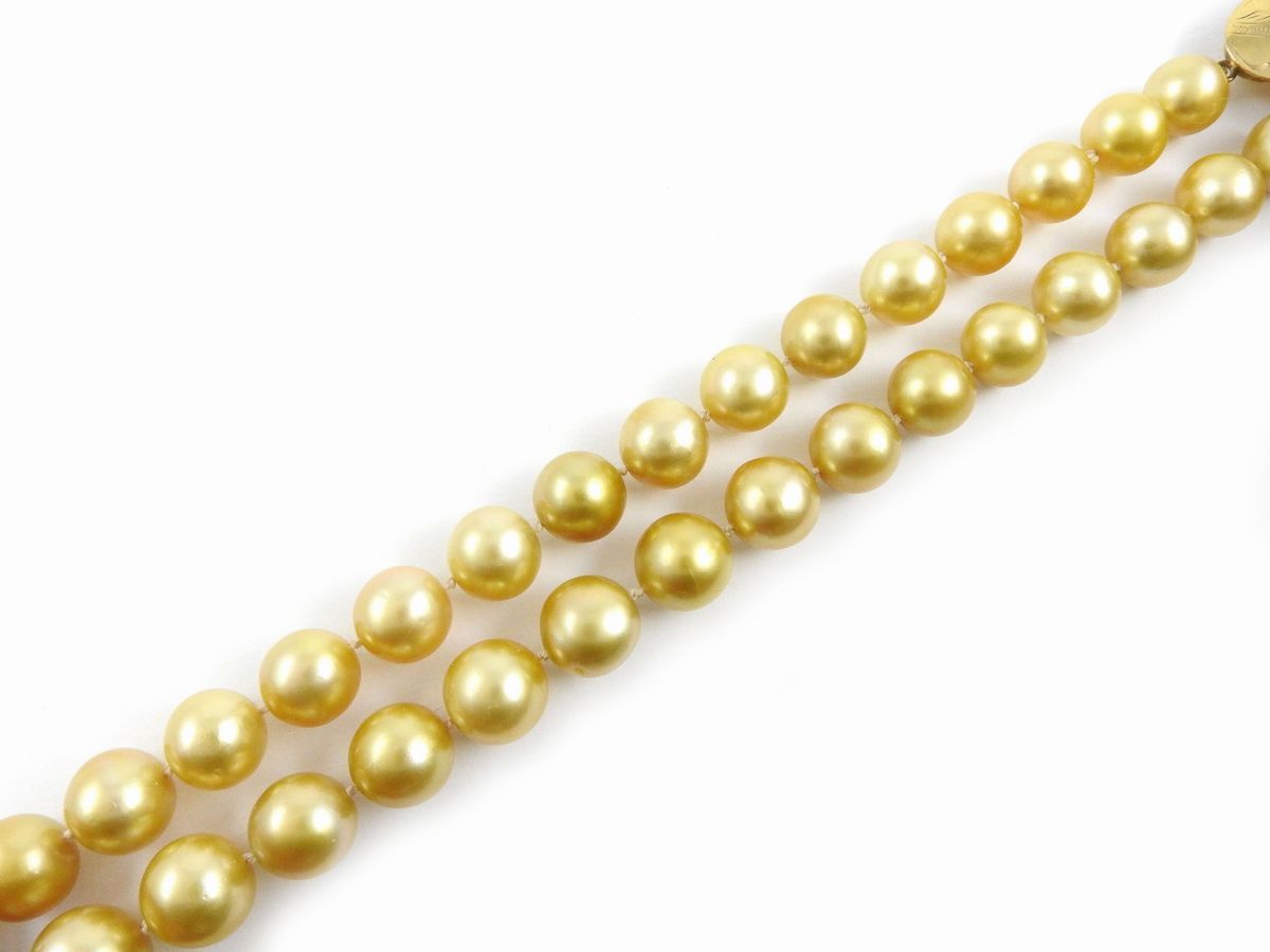 Filo di Perle Coltivate Gold a Scalare con Fermezza in Oro Giallo 375/1000