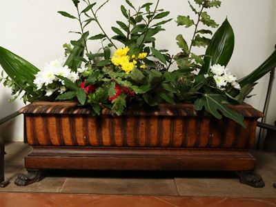 Fioriera in Legno Tenero