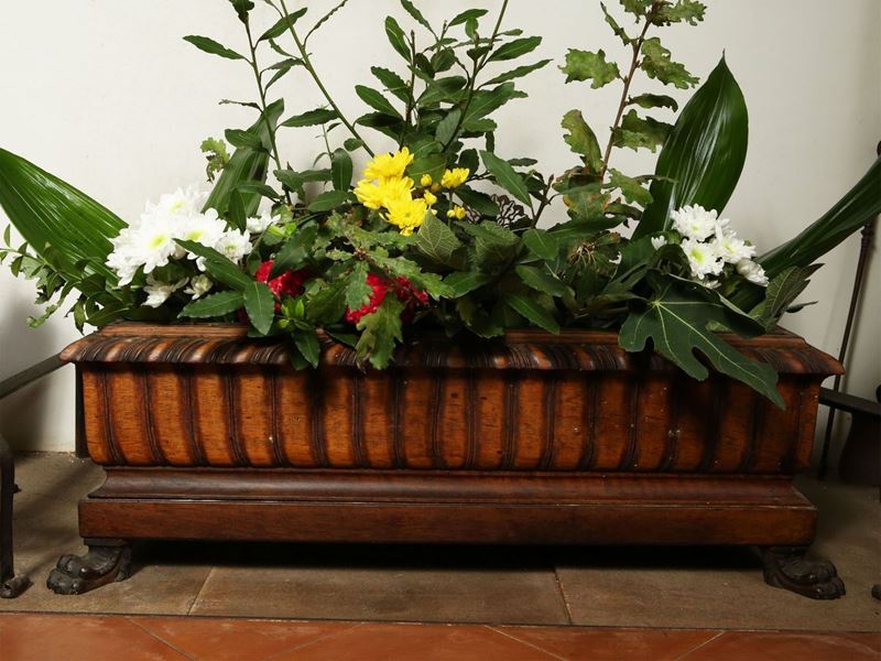 Fioriera in Legno Tenero