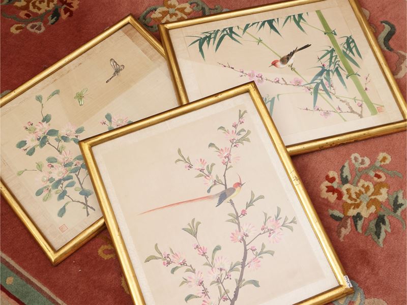 Composizioni con Fiori e Volatili