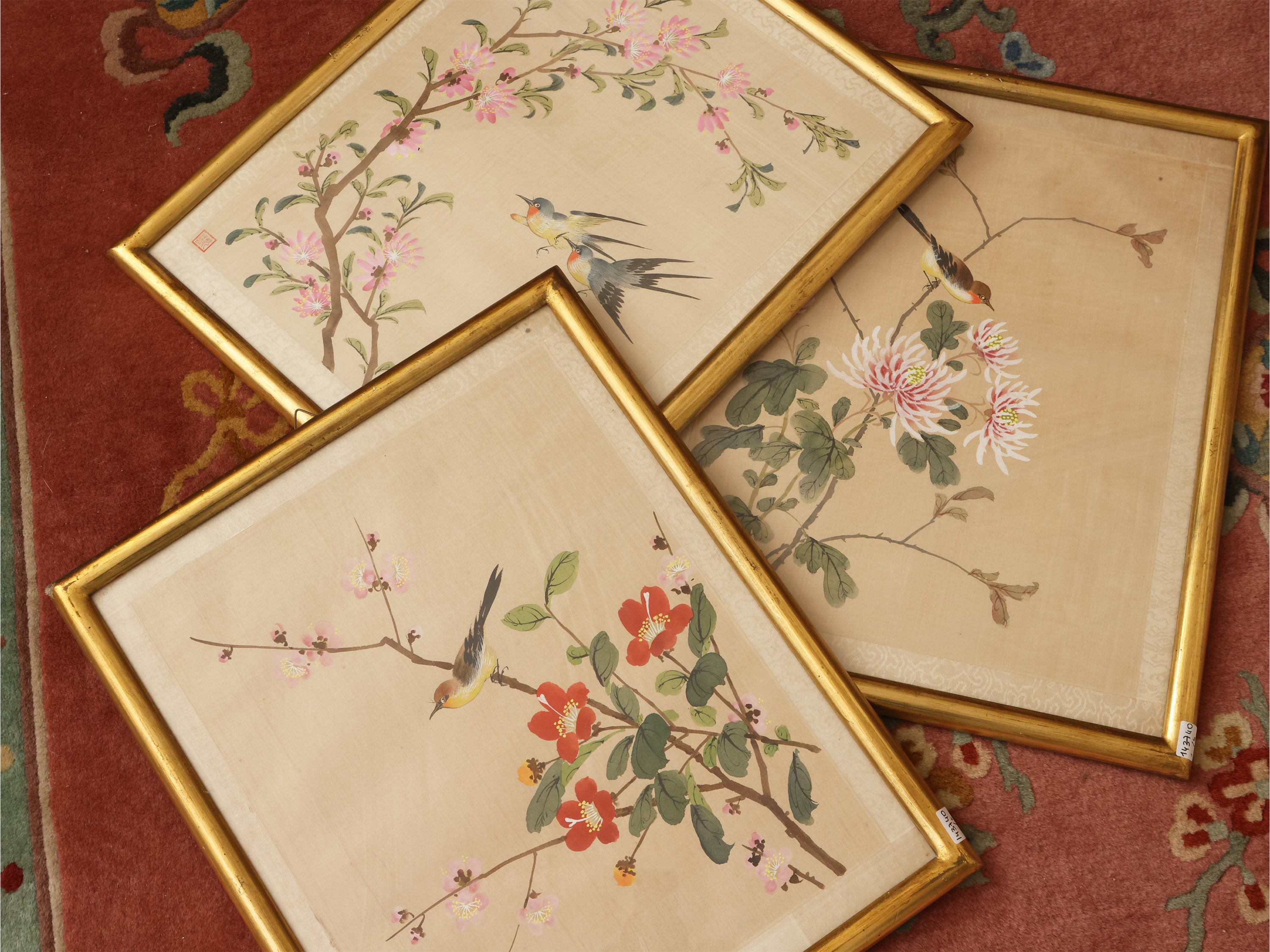 Composizioni con Fiori e Volatili