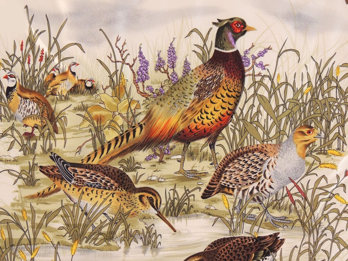 Foulard, Gucci
