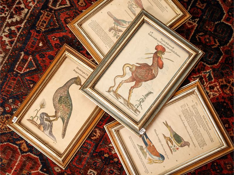 Ulisse Aldrovandi - Ornithologiae
