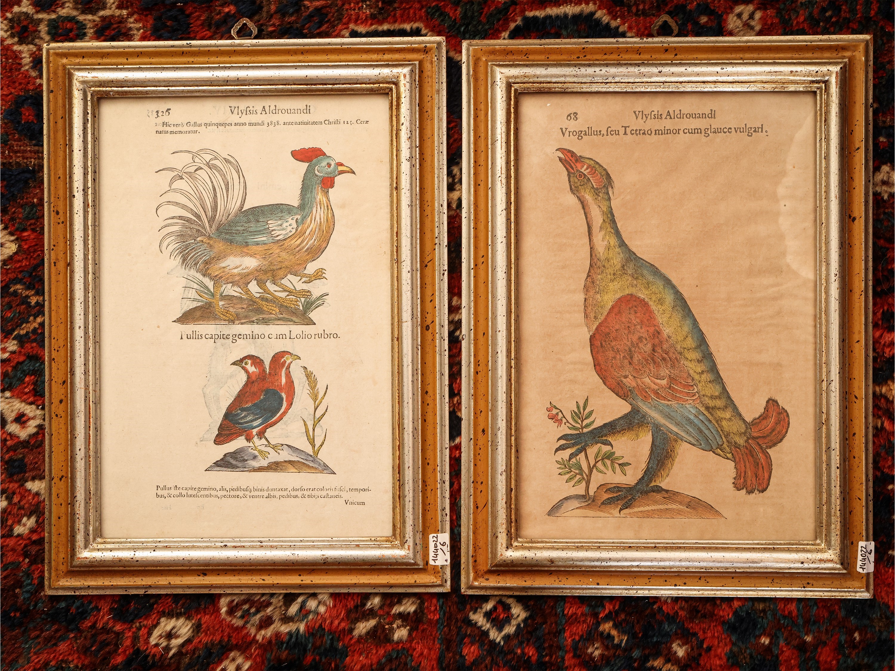 Ulisse Aldrovandi - Ornithologiae
