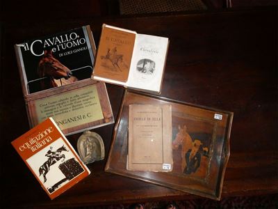Lotto di Libri e Curiosità su Cavallo ed Equitazione