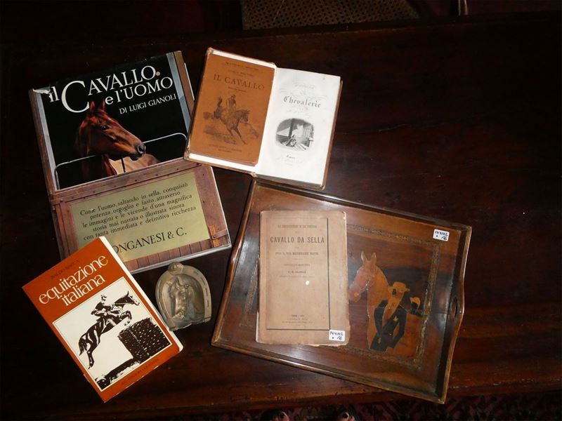 Lotto di Libri e Curiosità su Cavallo ed Equitazione