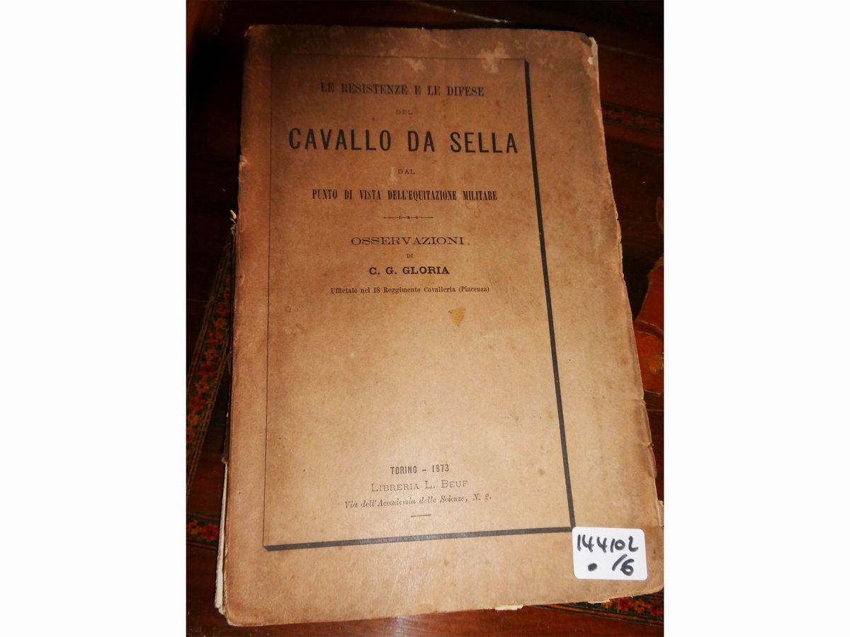 Lotto di Libri e Curiosità su Cavallo ed Equitazione