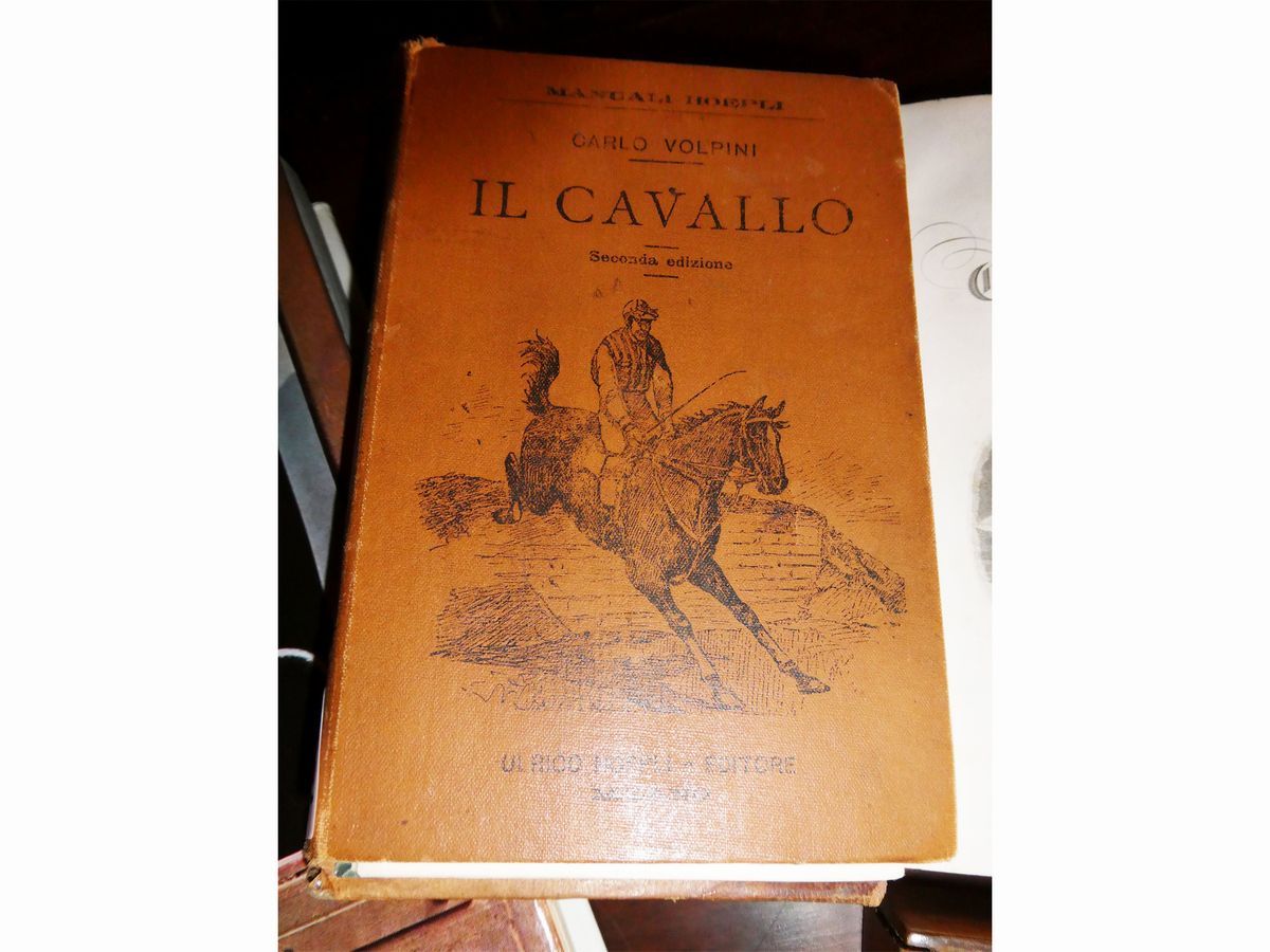 Lotto di Libri e Curiosità su Cavallo ed Equitazione