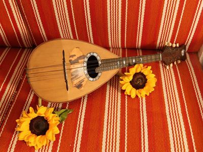 Mandolino D'epoca