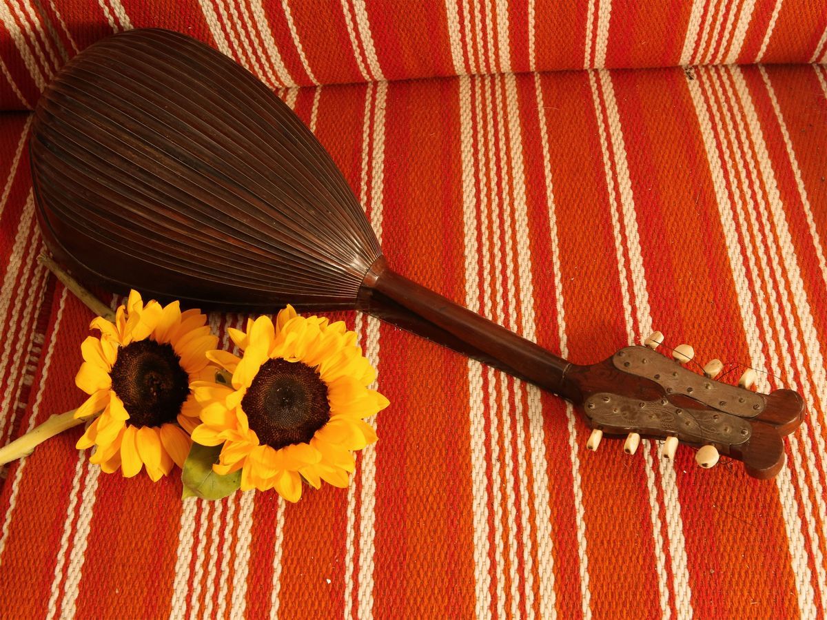 Mandolino D'epoca