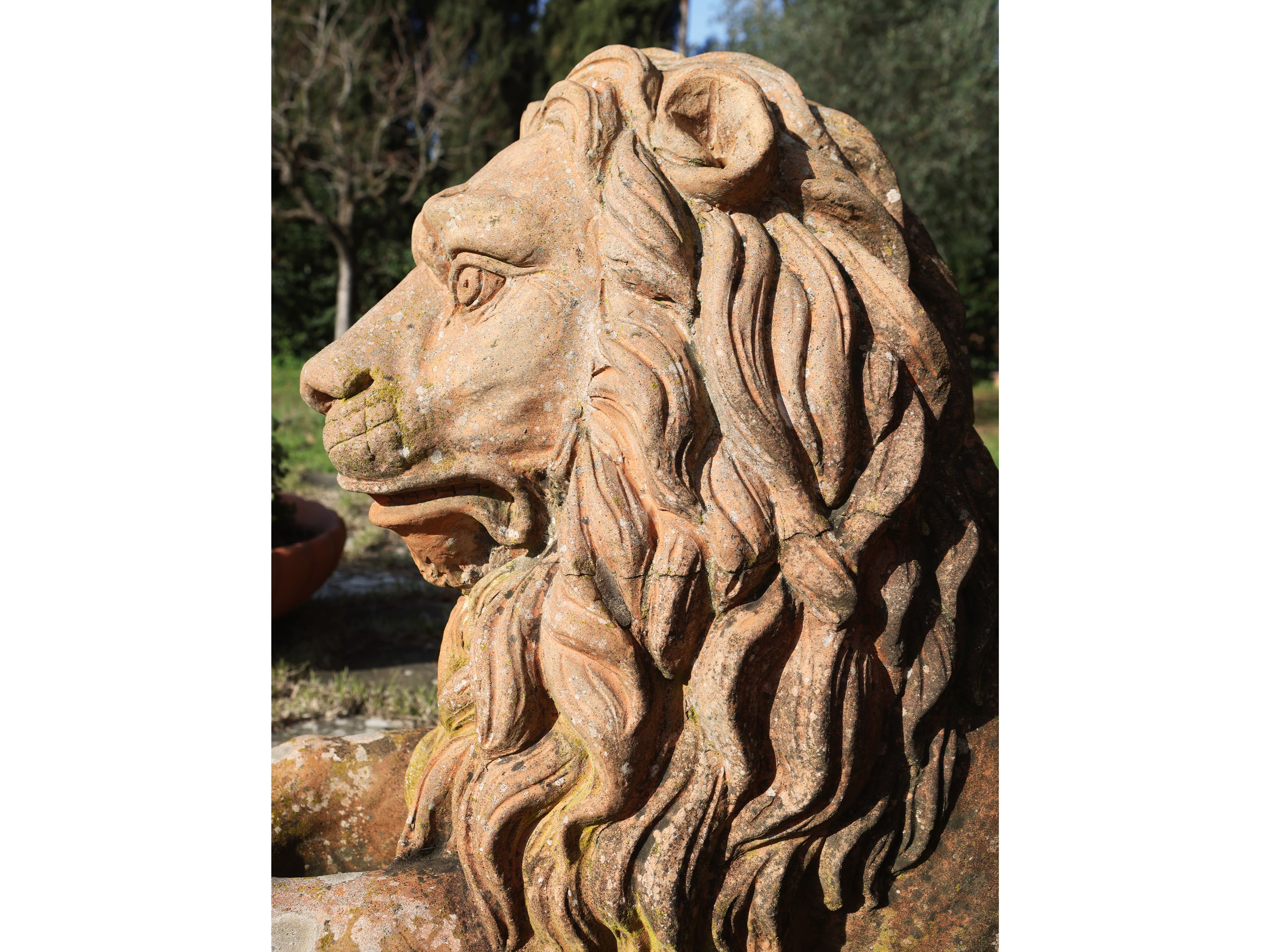 Coppia di Grandi Leoni da Giardino in Terracotta