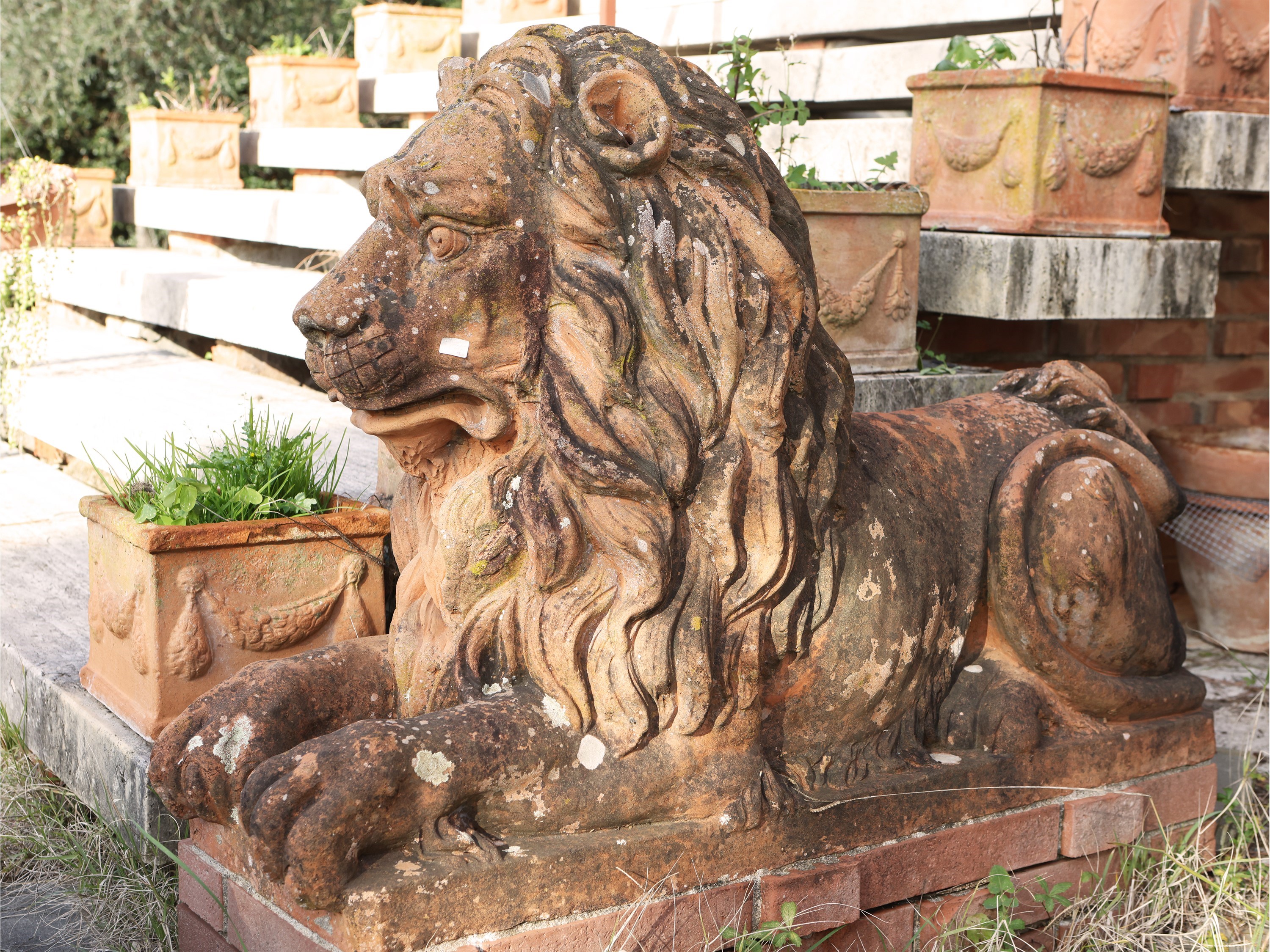 Coppia di Grandi Leoni da Giardino in Terracotta