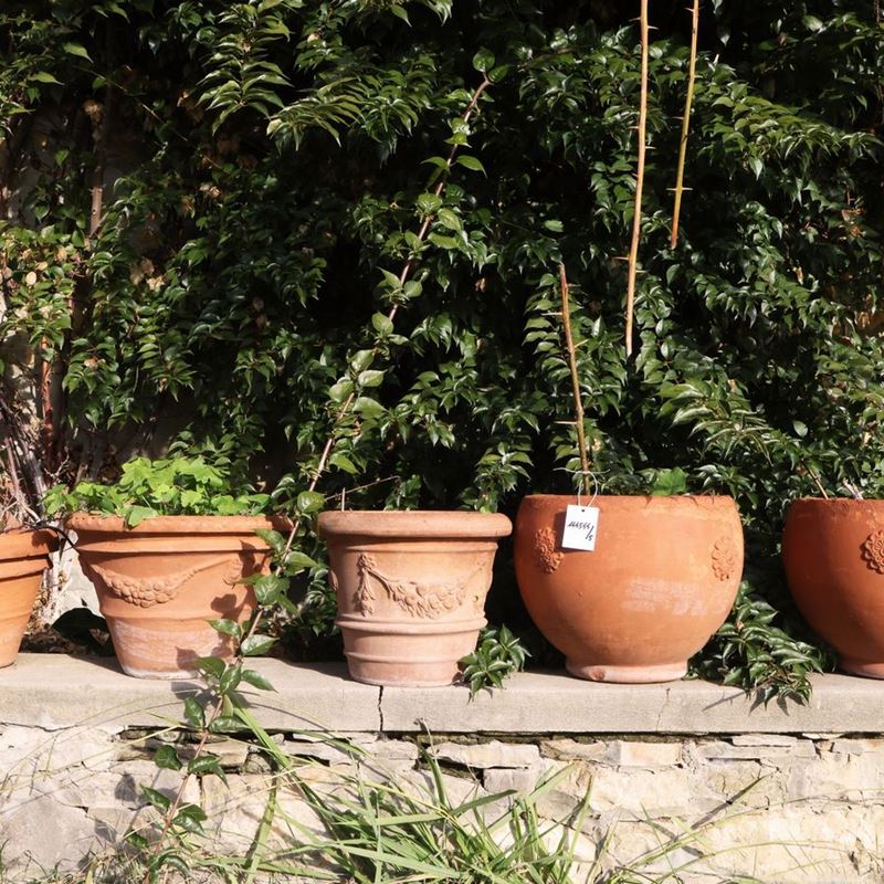 Cinque Vasi in Terracotta