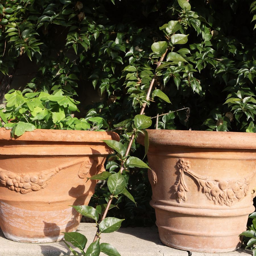 Cinque Vasi in Terracotta