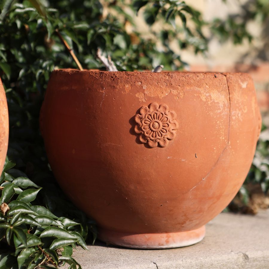 Cinque Vasi in Terracotta