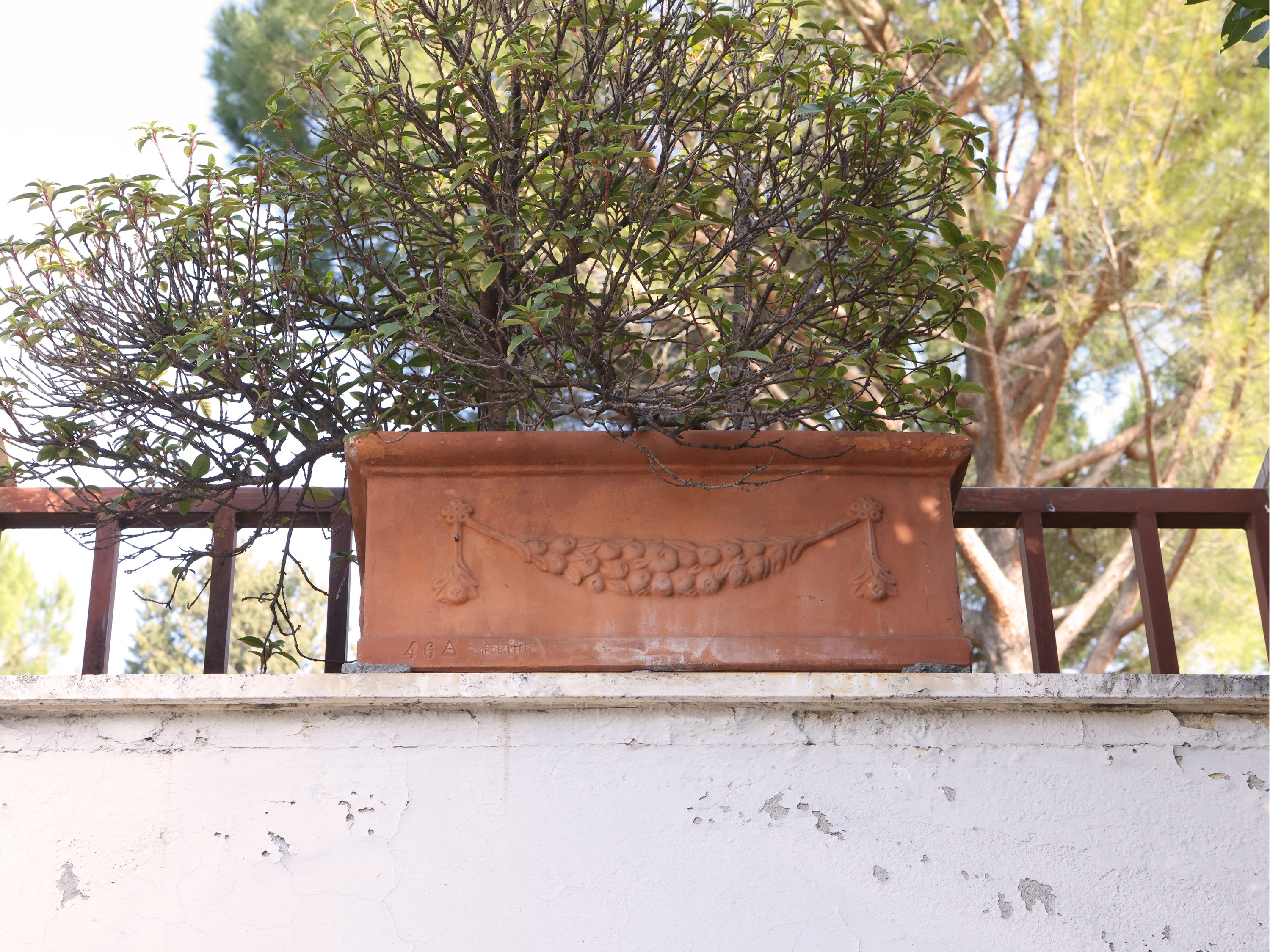 Quattro Grandi Vasi a Cassetta in Terracotta