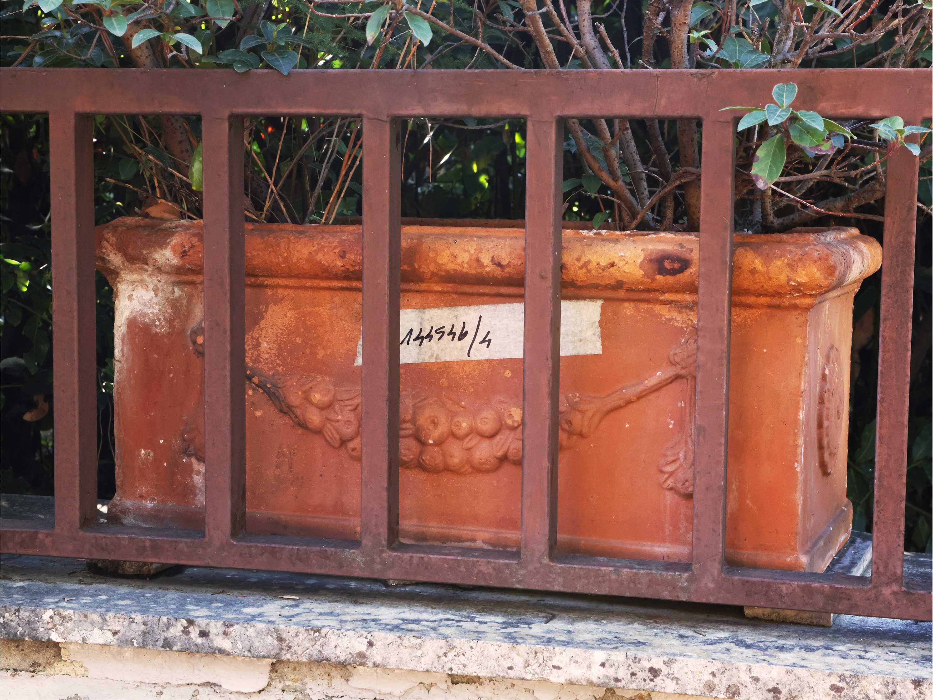 Quattro Grandi Vasi a Cassetta in Terracotta
