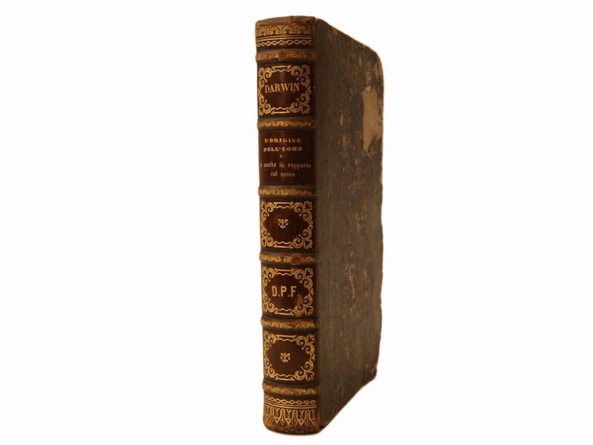 Charles Darwin - L'origine Dell'uomo e la Scelta in Rapporto Col Sesso