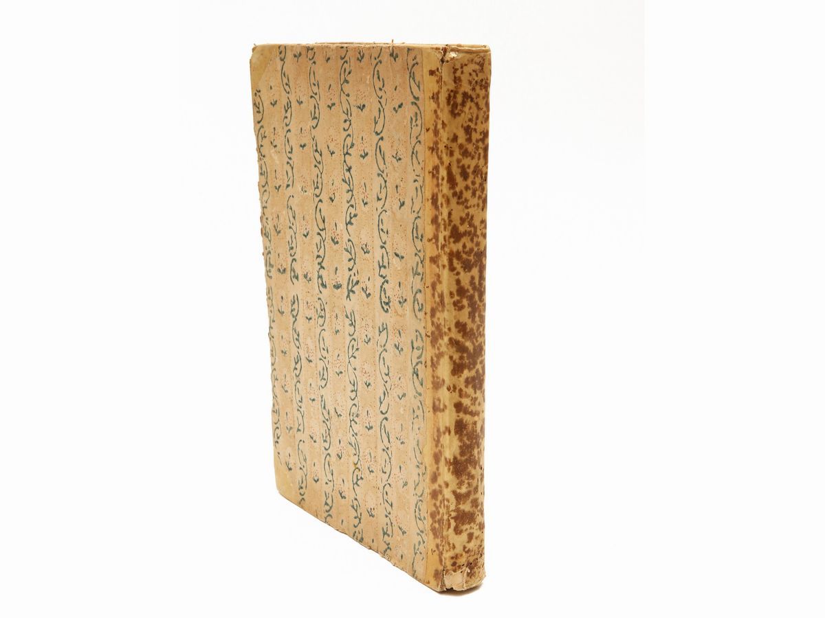 Francesco Robortello - In Librum Aristotelis De Arte Poetica, Explicationes