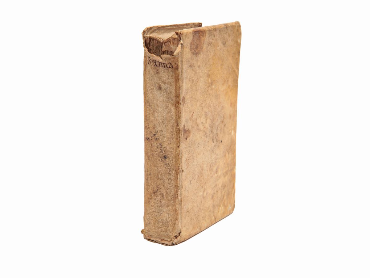 L'arcadia di M. Giacomo Sannazaro. Colle Antiche Annotazioni di Tommaso Porcacchi