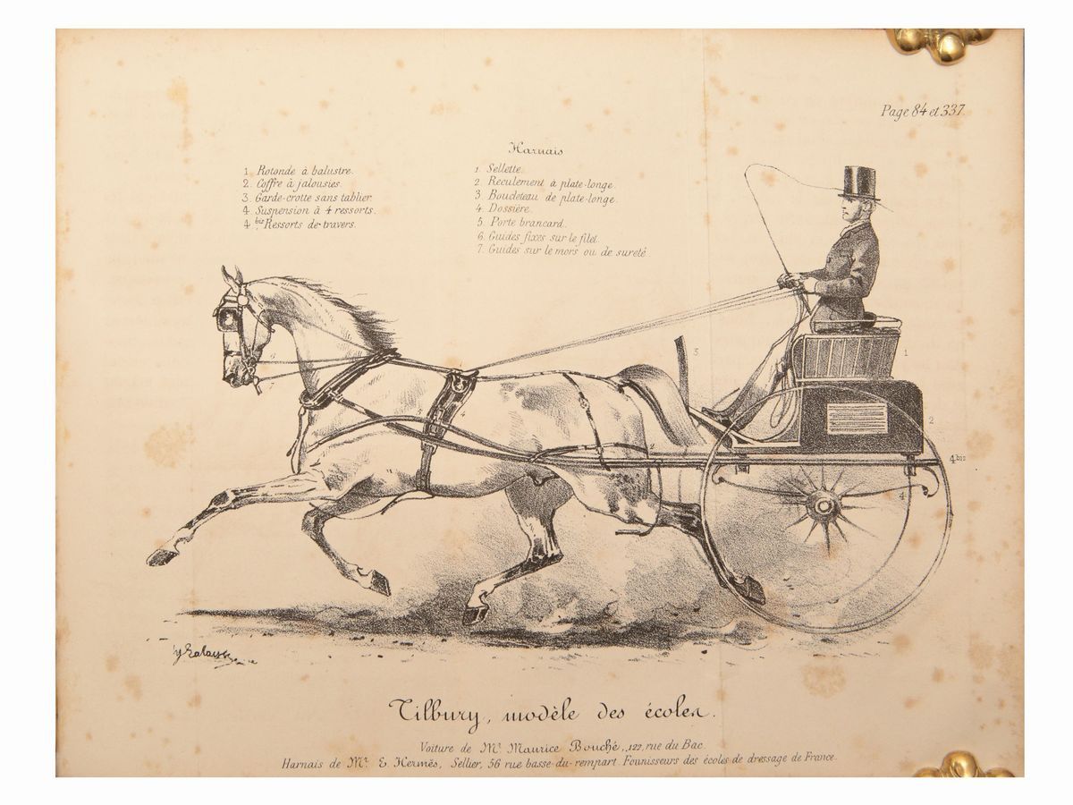 Louis Edme: Vicomte De Montigny - Manuel Des Piqueurs, Cochers, Grooms Et Palefreniers...
