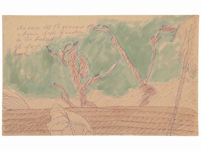 Sterpi di Rose 1968