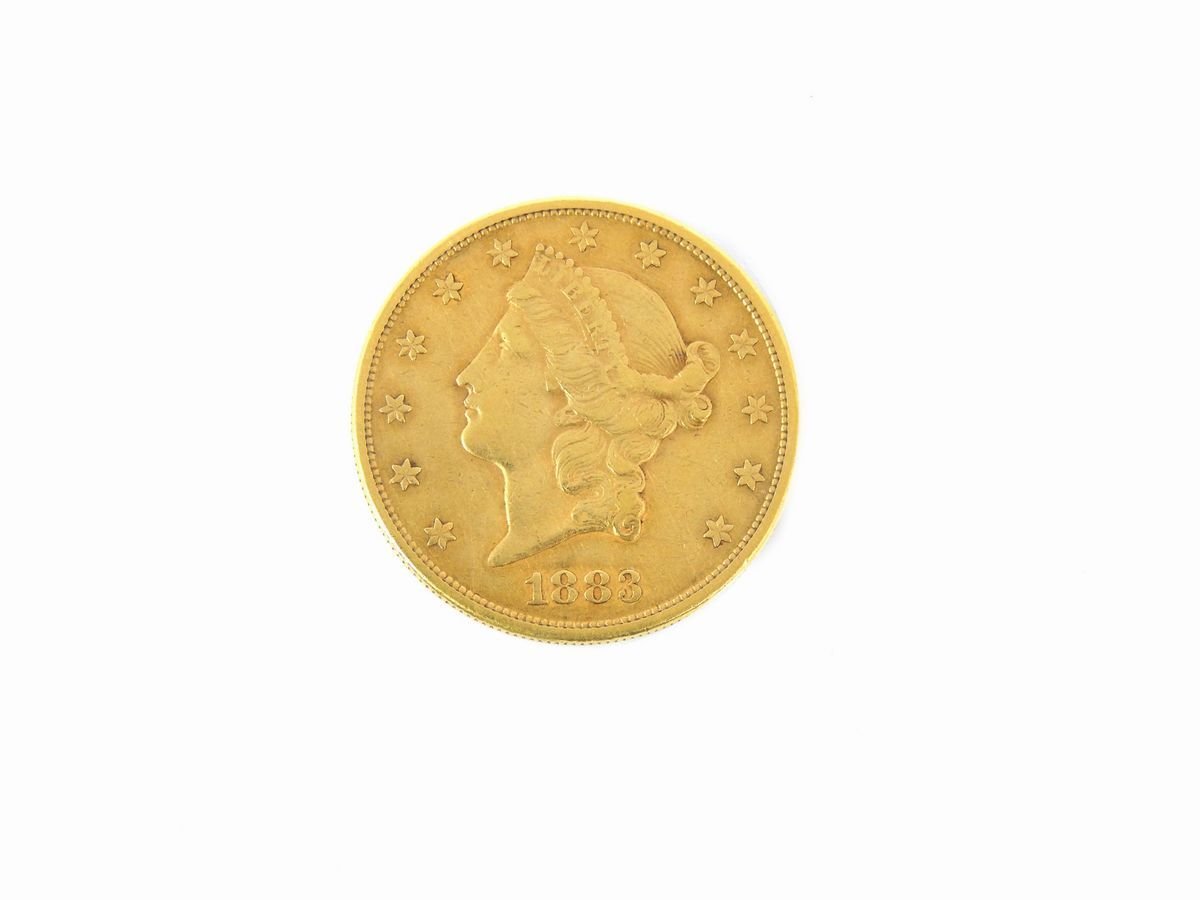 Una Moneta da 20 Dollari