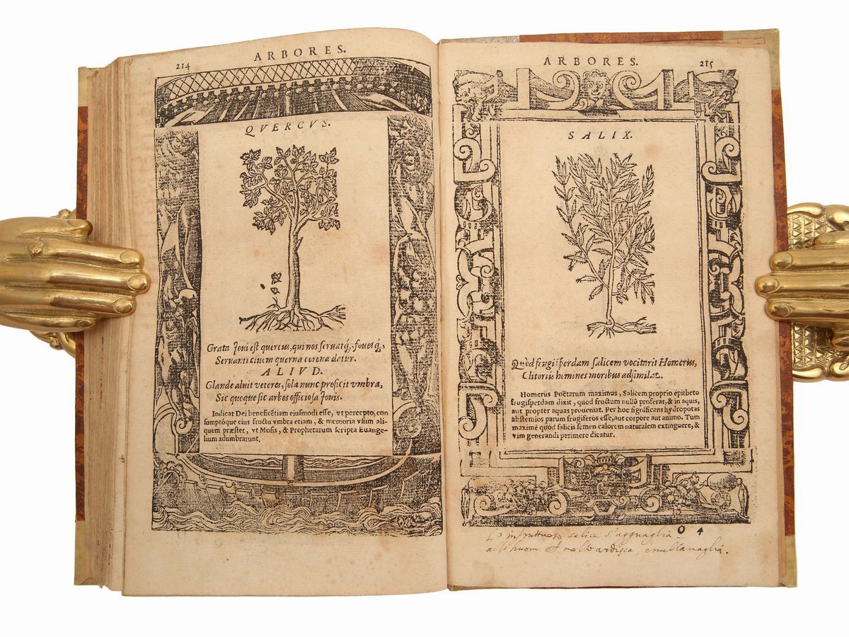 D. And. Alciati Emblemata Denuo Ab Ipso Autore Recognita
