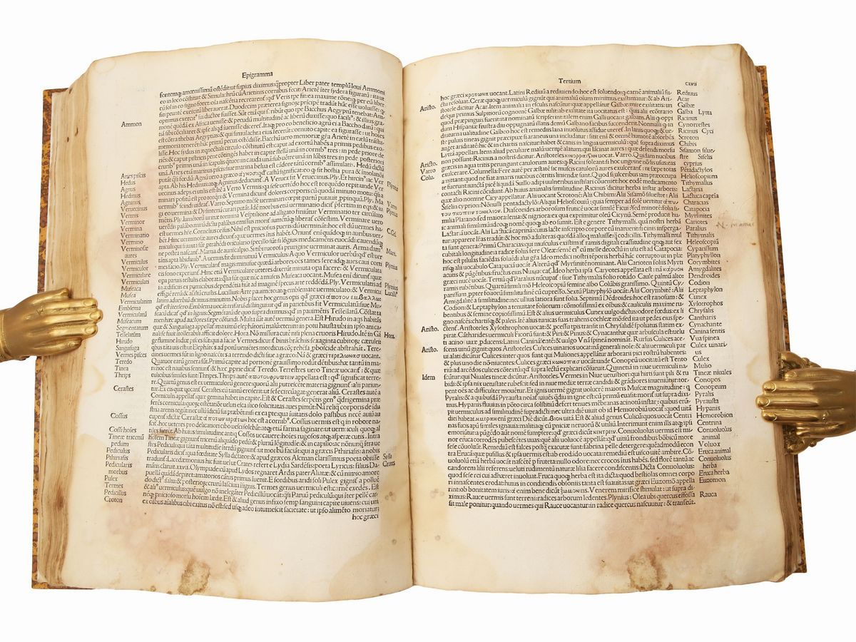 Niccolò Perotto - Cornucopiae Siue Commentariorum Linguae Latinae...