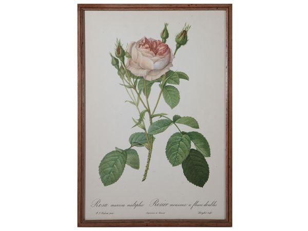 Lotto di grafica