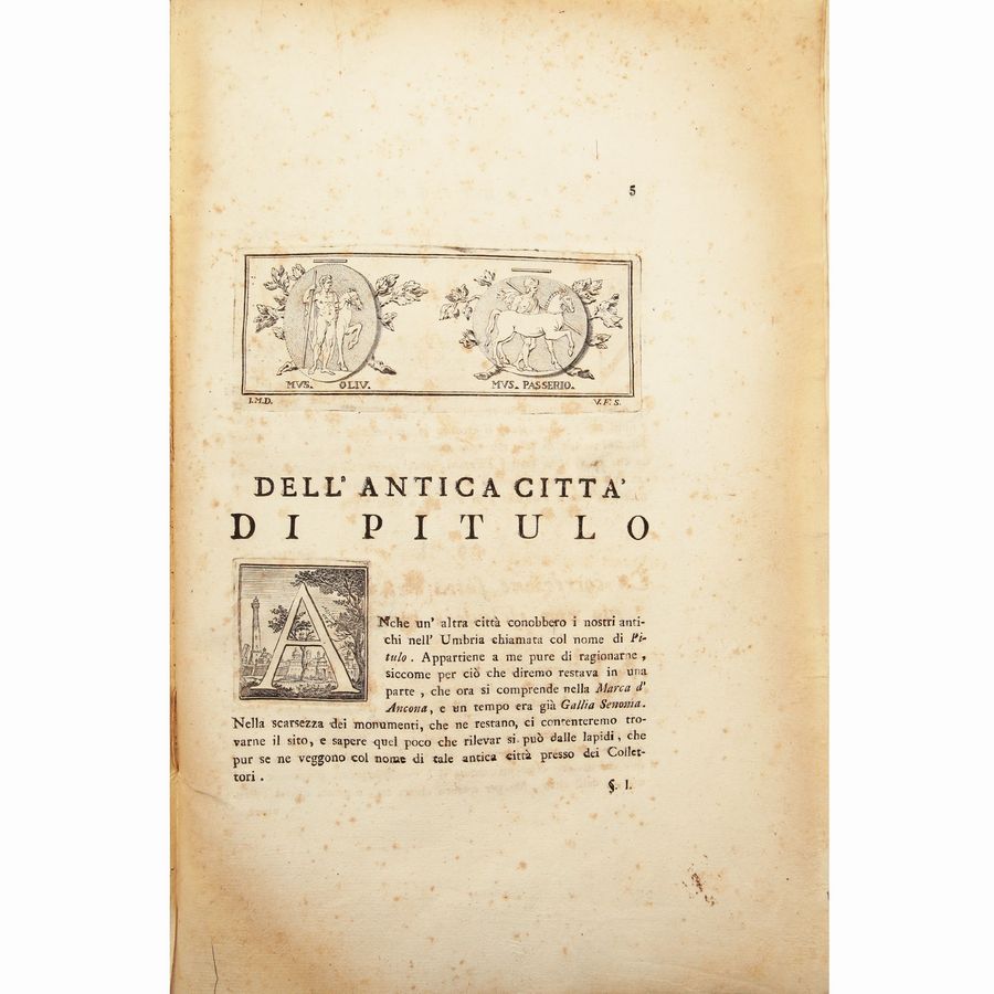 Delle Antichità Picene Dell'abate Giuseppe Colucci Patrizio Camerinese - Tomo X