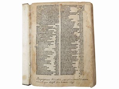 Biblia Cum Tabula Nuper Impressa & Cum Summariis Nouiter Editis